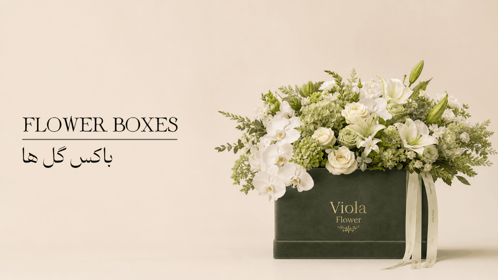 FLOWER BOXES 1024x576