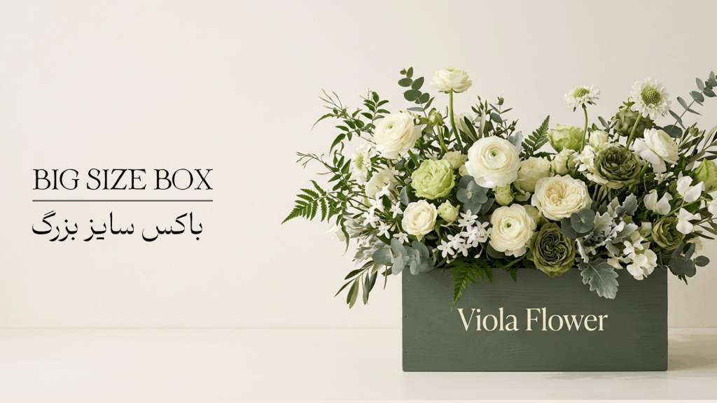 باکس سایز بزرگ 1024x576