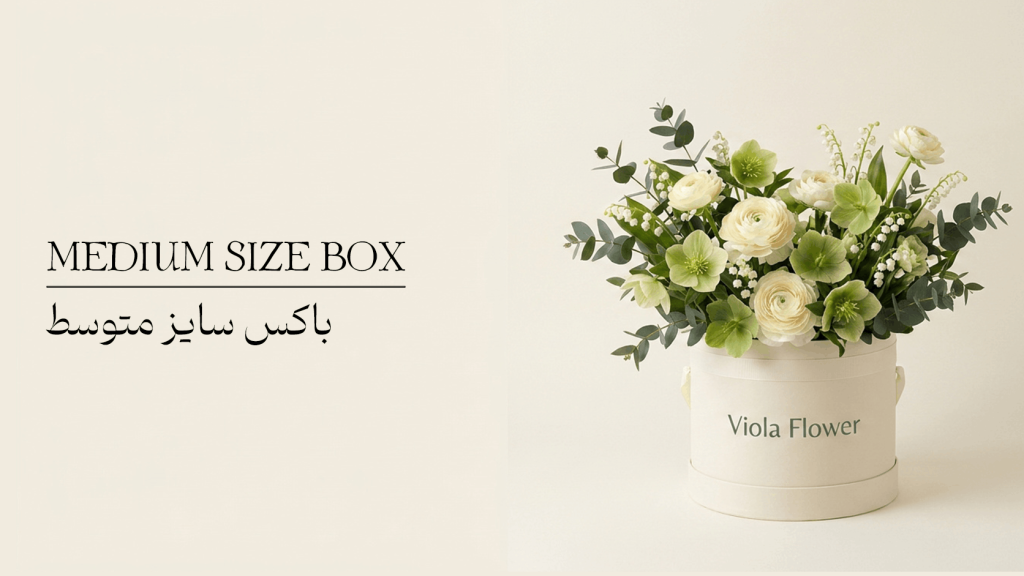 باکس سایز متوسط 1024x576