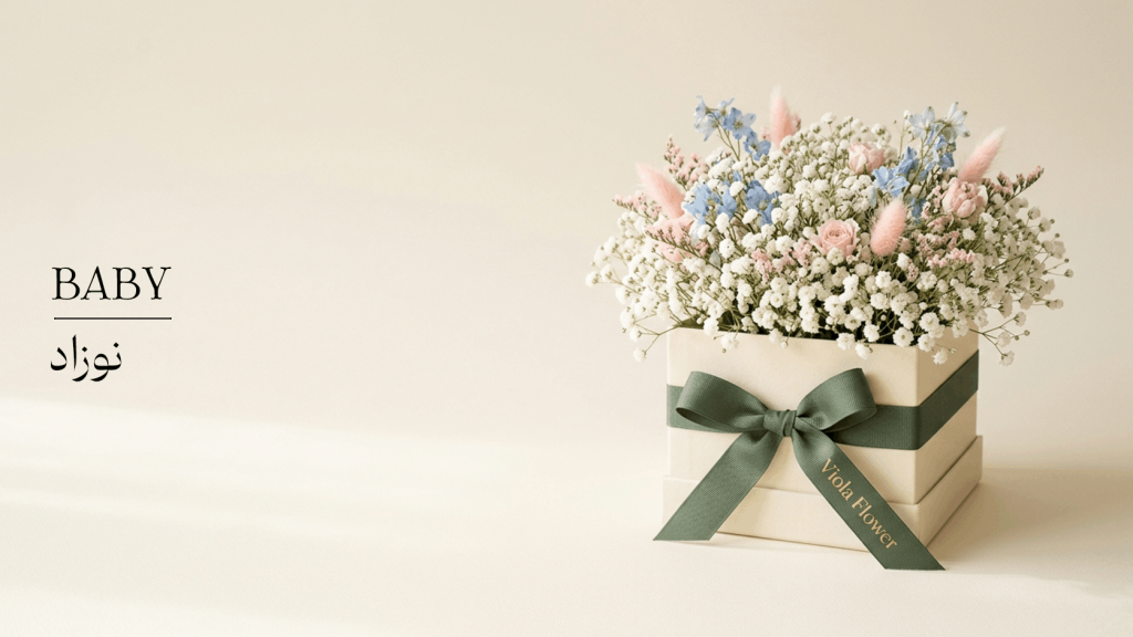 نوزاد 1024x576