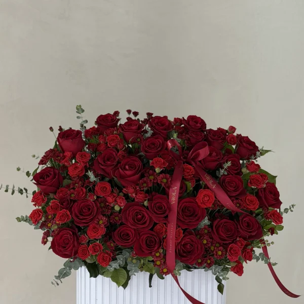 IMG 1605 600x600