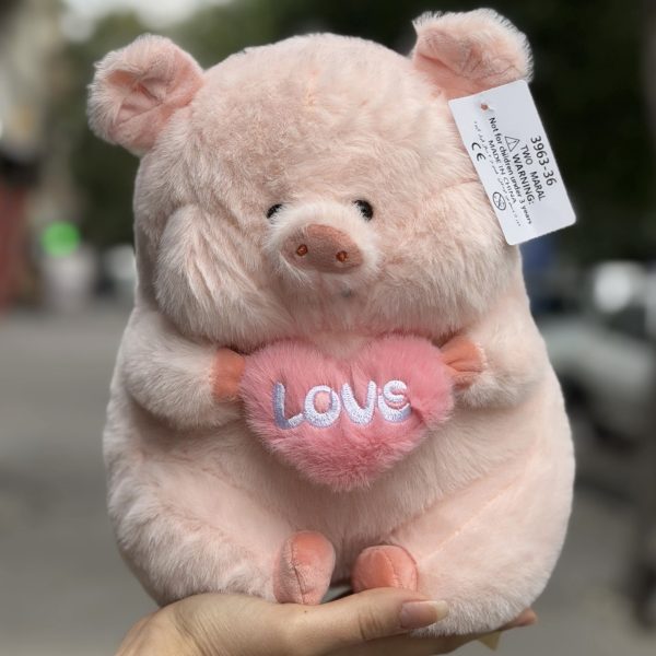 IMG 0026 600x600