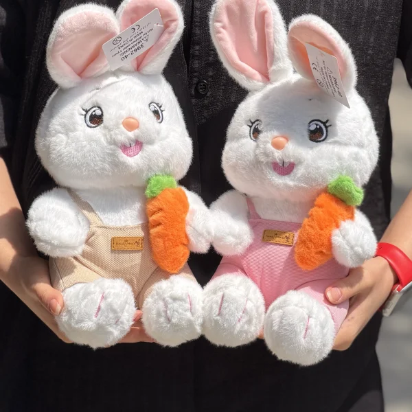 IMG 0033 1 600x600