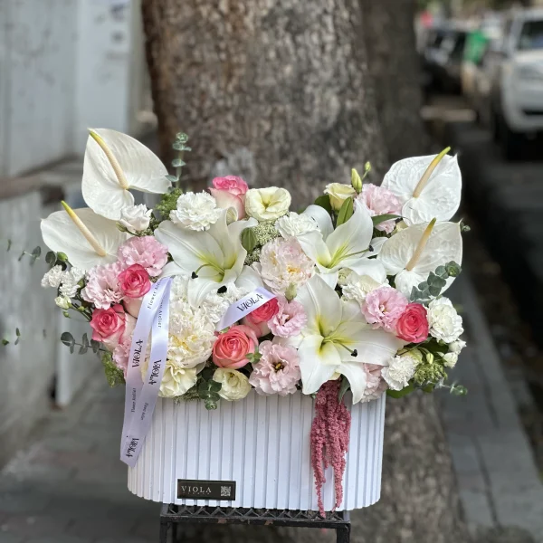 باکس گل مهتاب صورتی