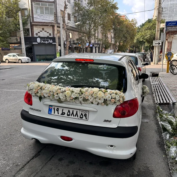 IMG 1561 600x600